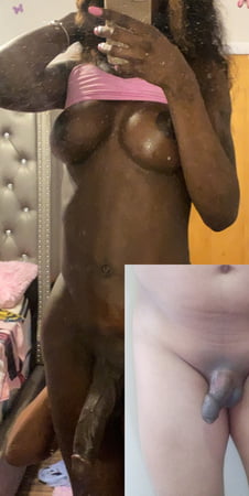 Shemale Vs Male Cock Tranny Vs Male Cock Transgender Alpha Pics