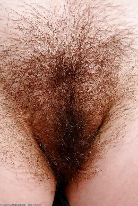 Hairy pussy standing fan images