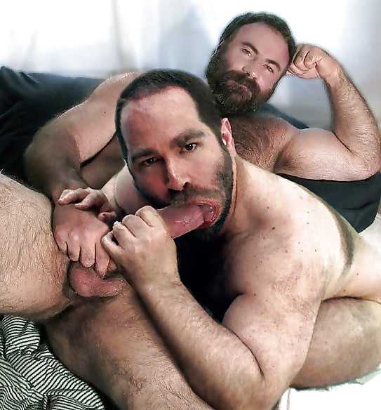 Hairy cub fuck compilations