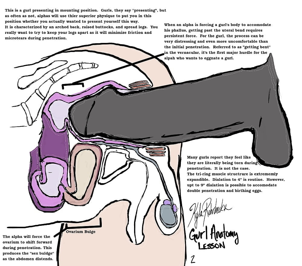 Anatomy of deepthroat
