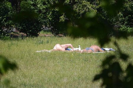girl sunbathing in the park 2