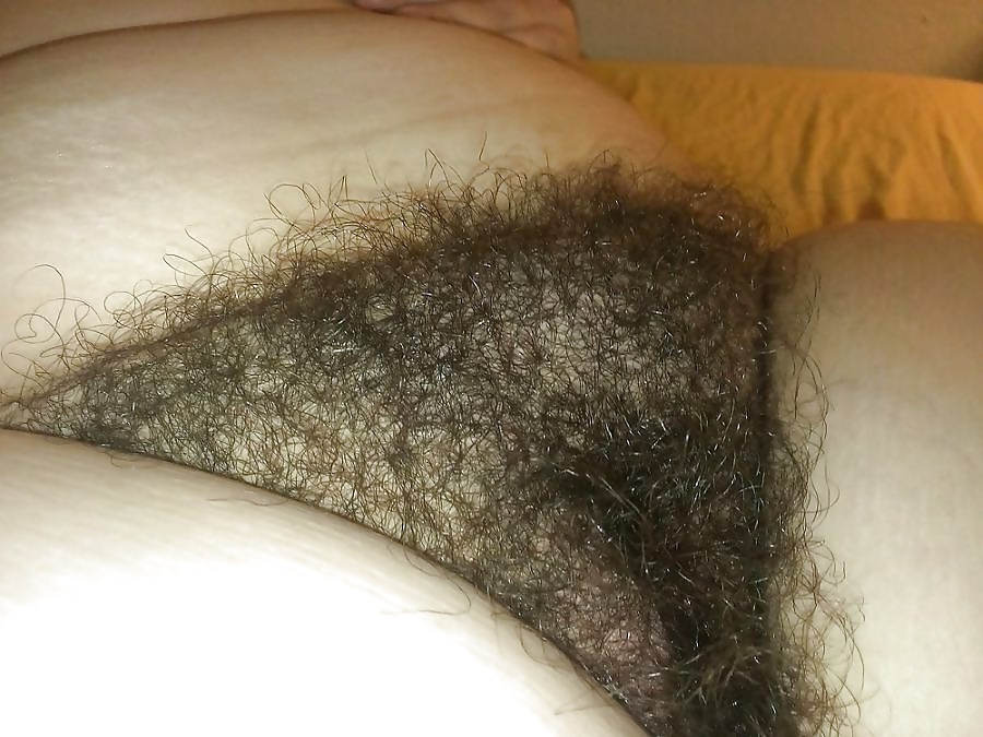 Hairy pussy amateurs adult photos