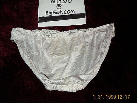 Ally s Nylon Panties