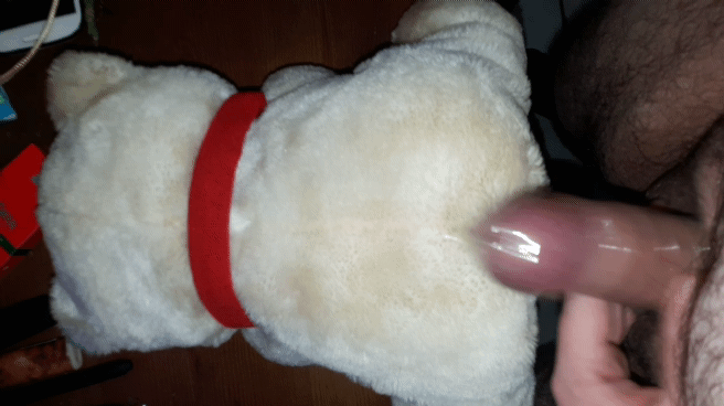 Fucking A Teddy Bear With Condom 9 Pics XHamster