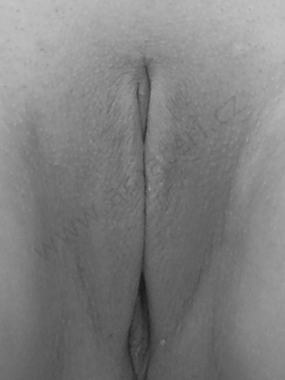 Black and white pussy closeups adult photos