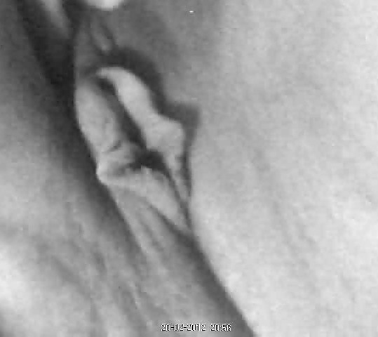 MY pussy adult photos
