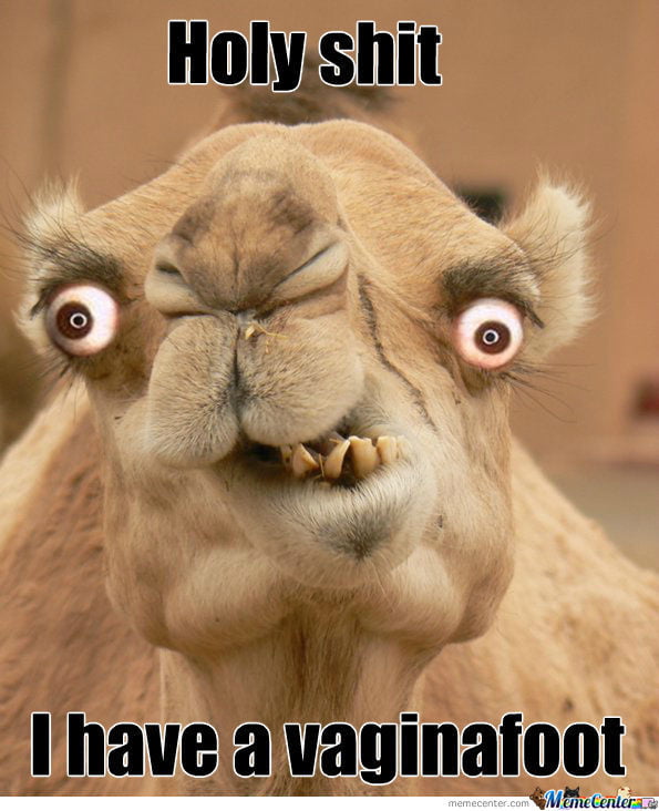 pissy Camel toe