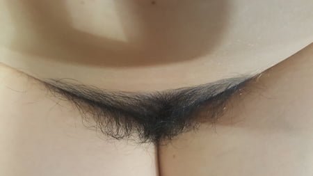 hairy pussy         