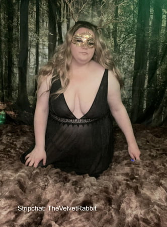 velvet rabbit free photos         