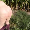Naked whipping in cornfield
