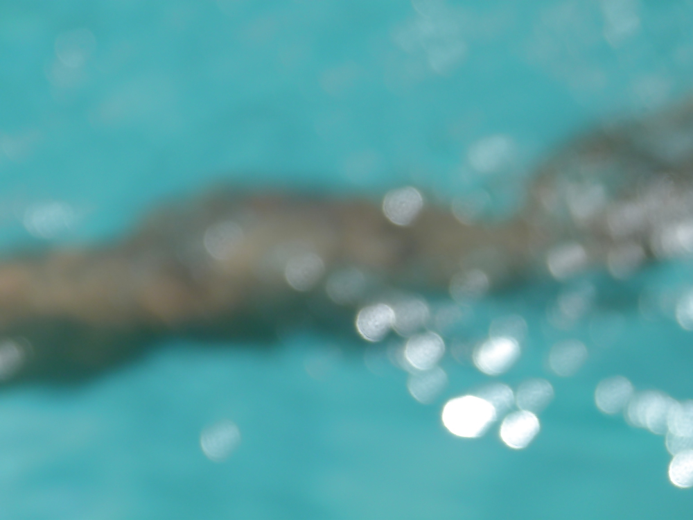 Pool in Dumagette cont... adult photos