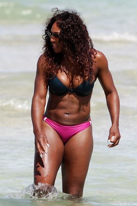 serena williams in a bikini post by tintop adult photos