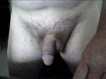 Pictures of My Cock