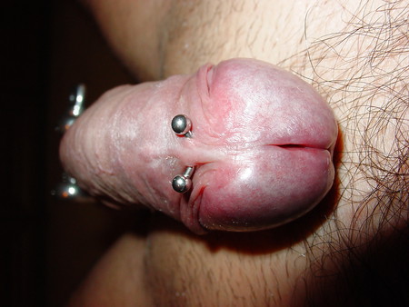 My pierced Cock by Bedrik