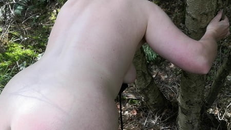naked tits and ass whipping in woods         