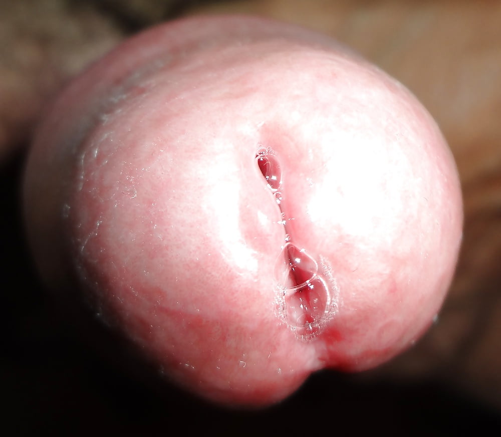 Verga golosa adult photos