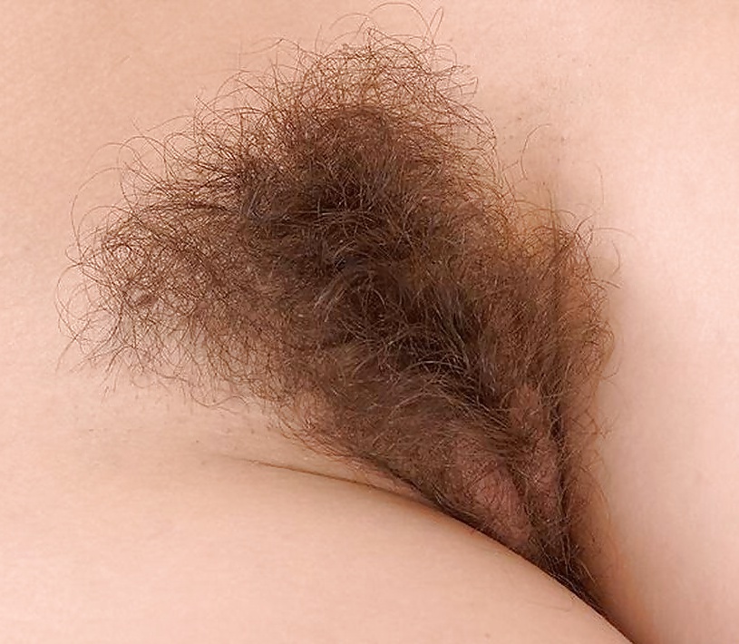 My collection of Russian hairy pussys - 11. Amateur. adult photos