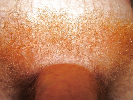 jjmontana close up shots of ginger body hair