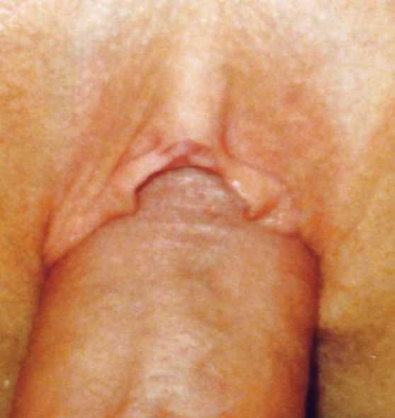 Ficken  fucking adult photos
