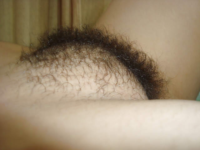 Wife hairy pussy adult photos