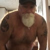 Stachebear