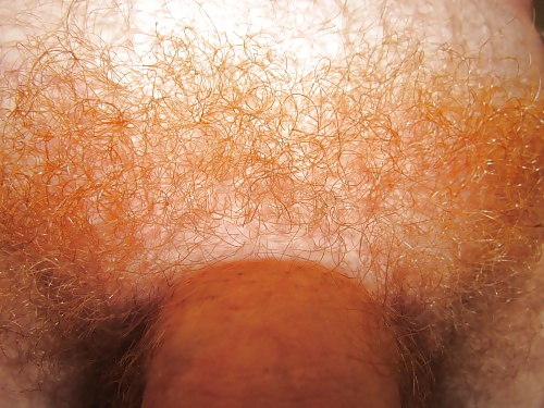 jjmontana close up shots of ginger body hair adult photos