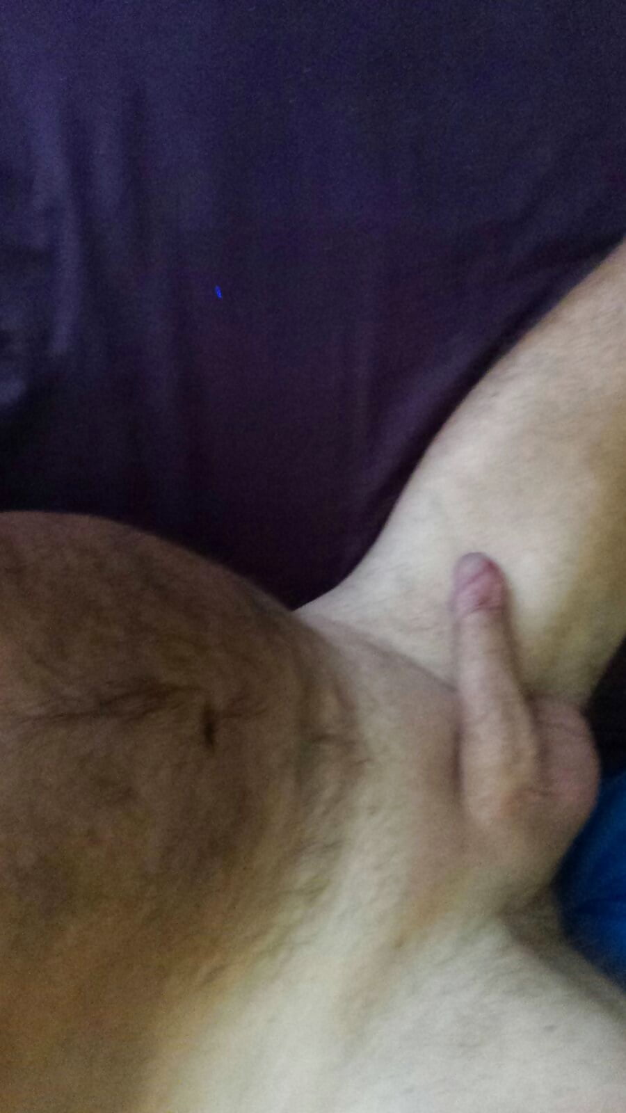 Mijn vleesboom adult photos