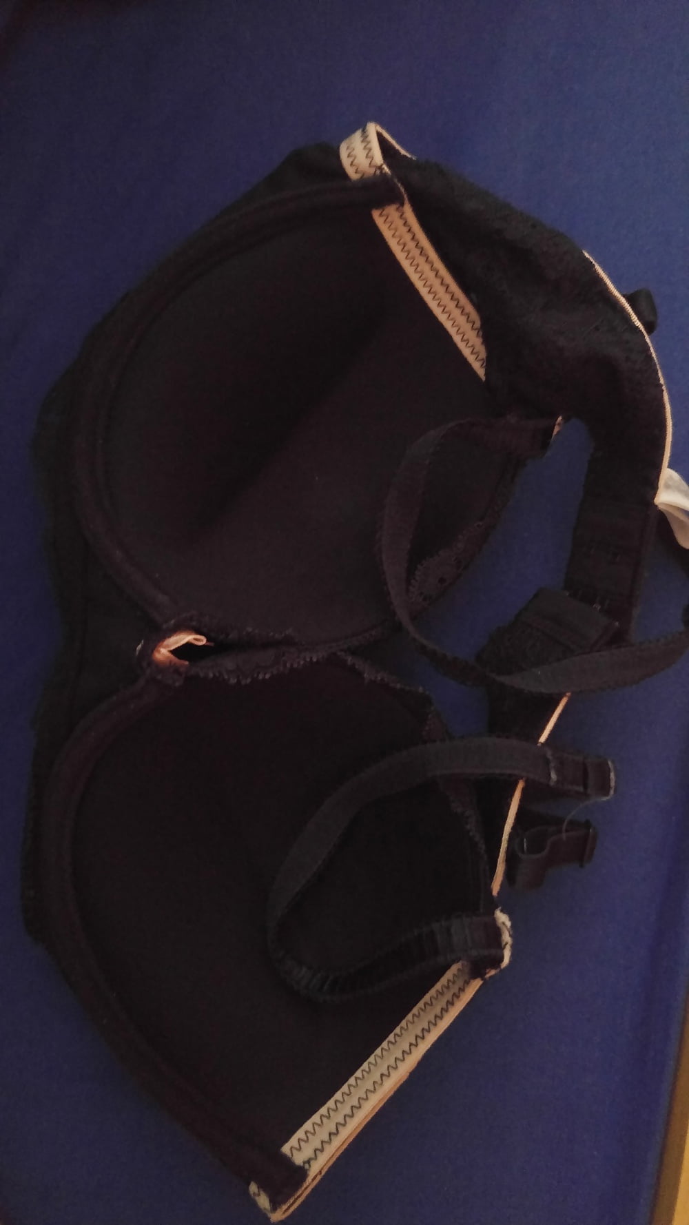 not my sister adult photos