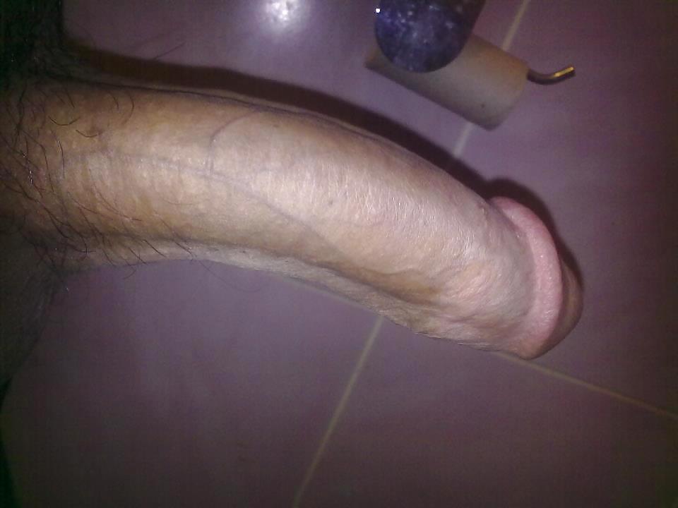 my penis adult photos