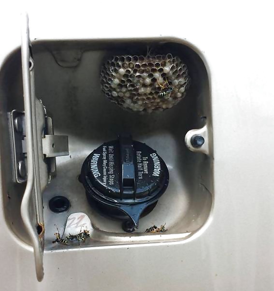 Girls and Diverses 87 adult photos