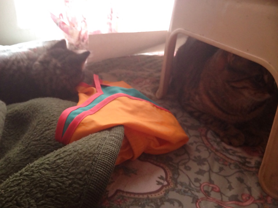 bitches i mess with adult photos