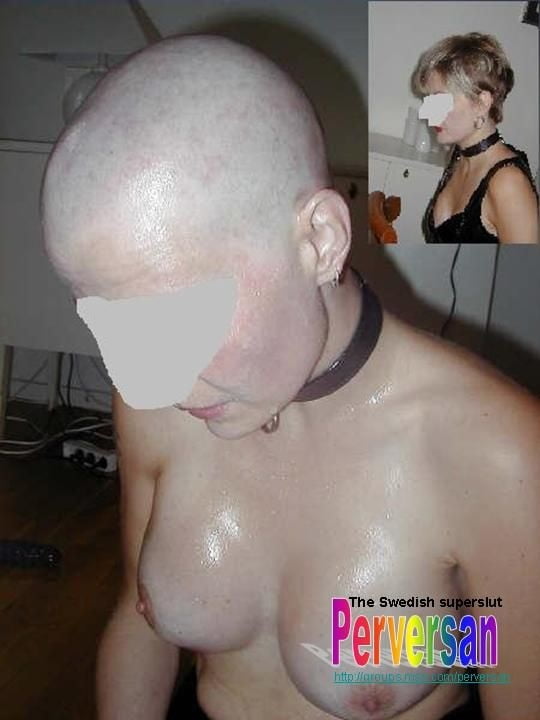 More related shaved head lover fetish.