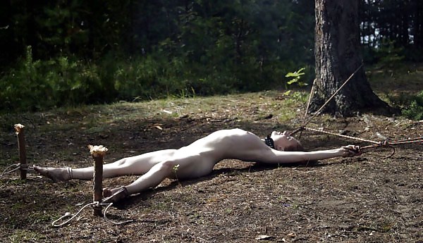 captured princesses stripped of their glory adult photos