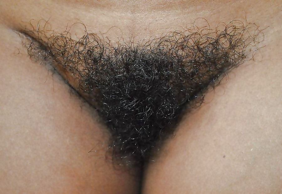 Hairy Pussy Mix 8 adult photos