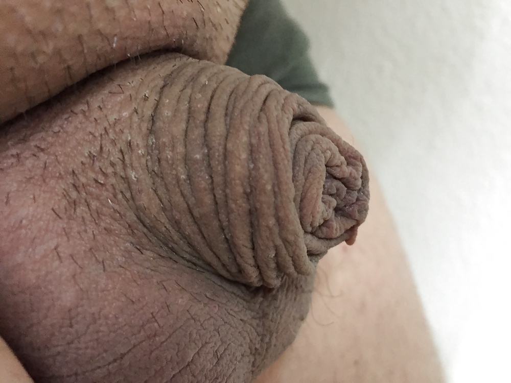 Small White Cock adult photos