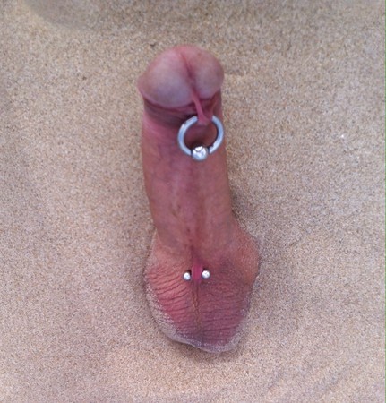 Cock left on the beach