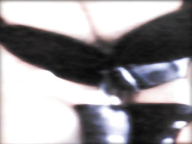 Maddalena 2016 adult photos