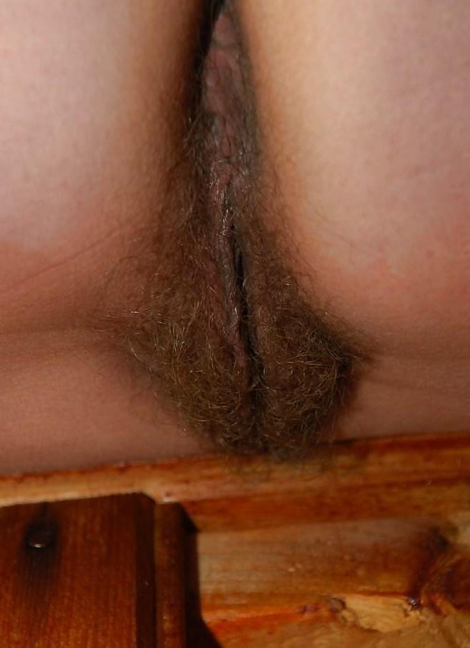 american hairy mature adult photos