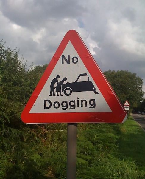 AMATEURS ONLY    DOGGING AND PUBLIC SEX adult photos