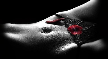 Erotic Art of Roses - Session 1