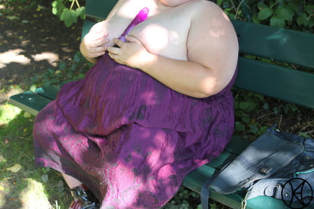 die parkbank the park bench ii         