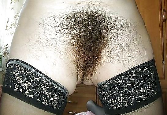 Nice hairy pussies 2 adult photos