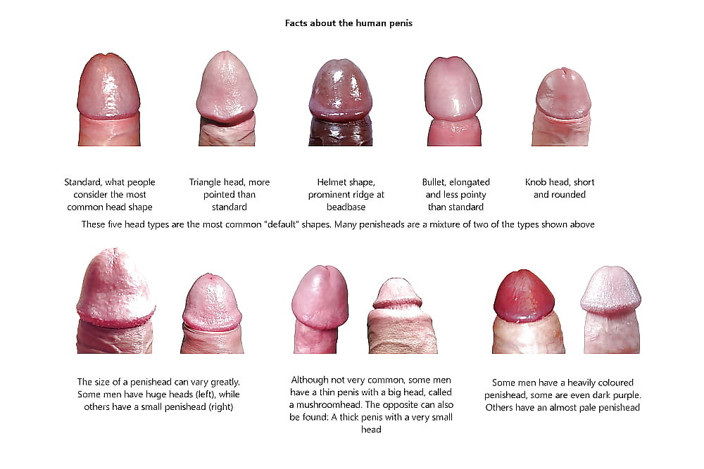 Different Porn Types