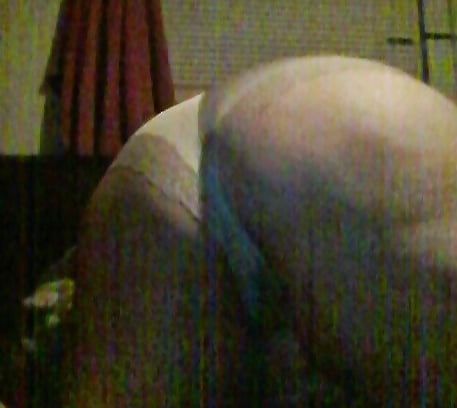 Bambi for breeding adult photos