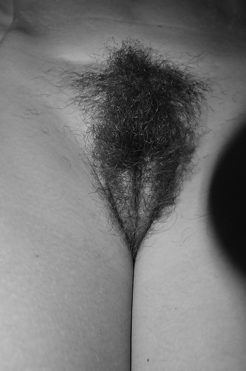 Random cutie bush chicks adult photos