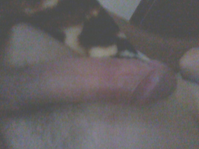 my wife adult photos