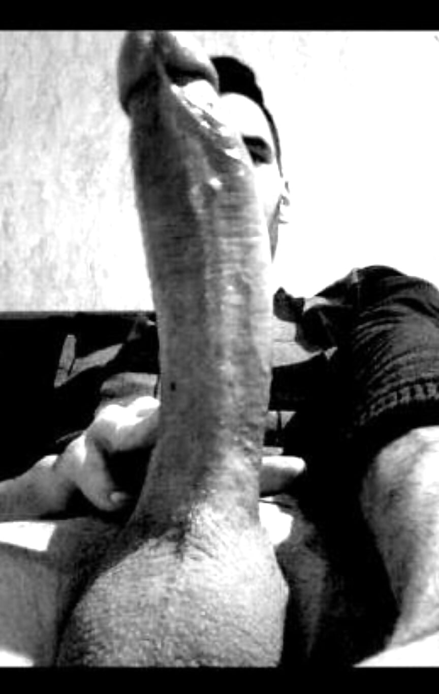 New Stiff 2016 adult photos