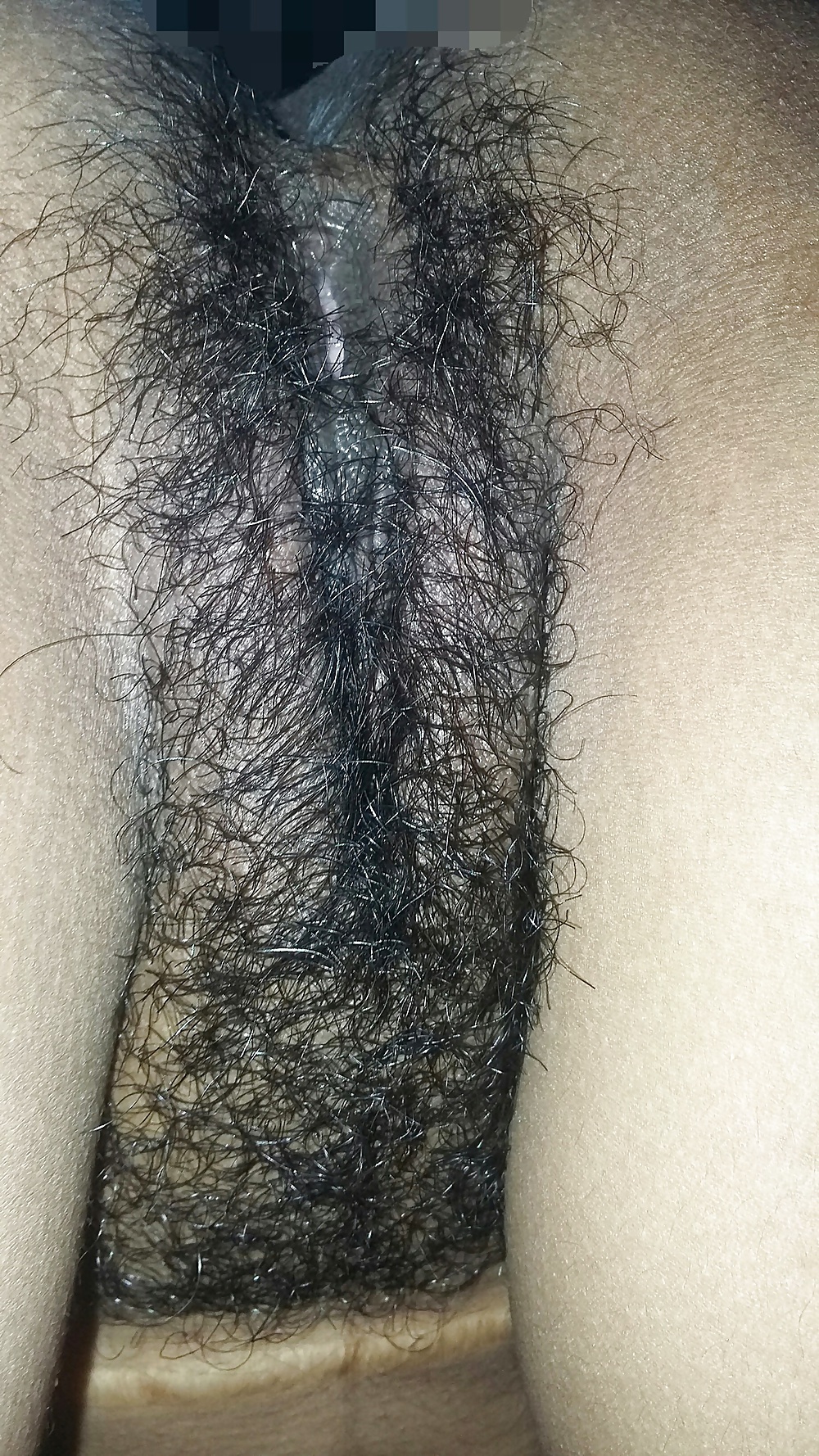 Hairy Indian Wife adult photos