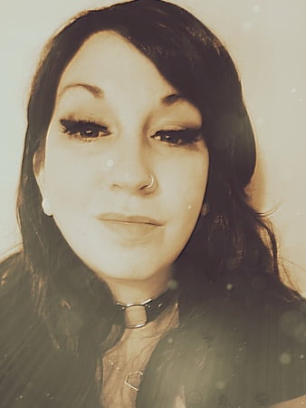 spooky bee free photos         