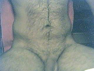 hallo bin der nino adult photos